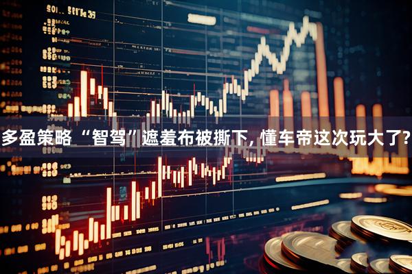 多盈策略 “智驾”遮羞布被撕下, 懂车帝这次玩大了?