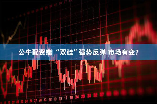 公牛配资端 “双硅”强势反弹 市场有变？