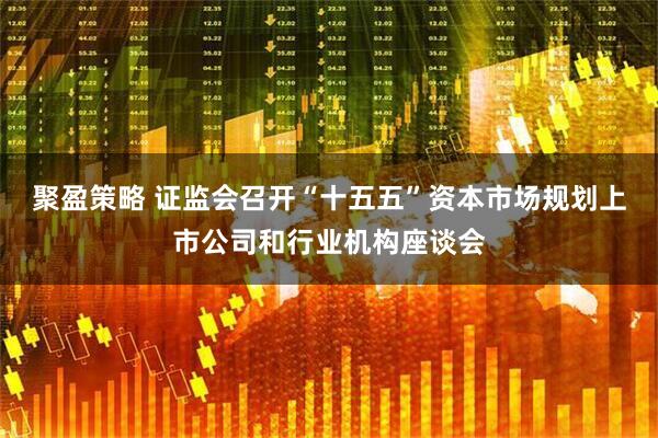 聚盈策略 证监会召开“十五五”资本市场规划上市公司和行业机构座谈会
