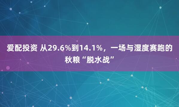爱配投资 从29.6%到14.1%，一场与湿度赛跑的秋粮“脱水战”